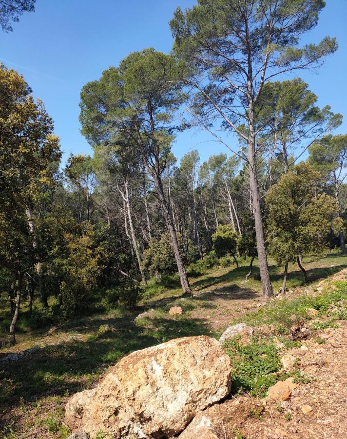 Les Hauts Du Peireguier 拉莫特 外观 照片